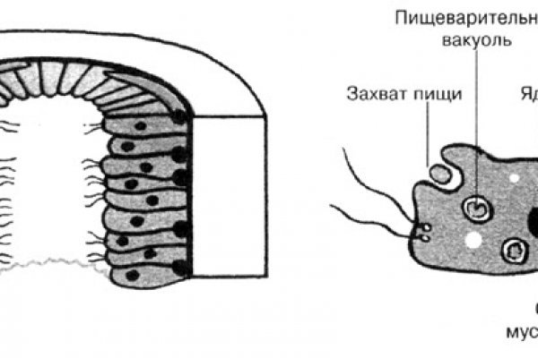 Даркмаркет это