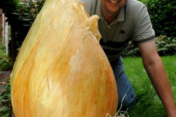 Кракен даркнет ссылка для тор